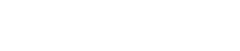 Future-X